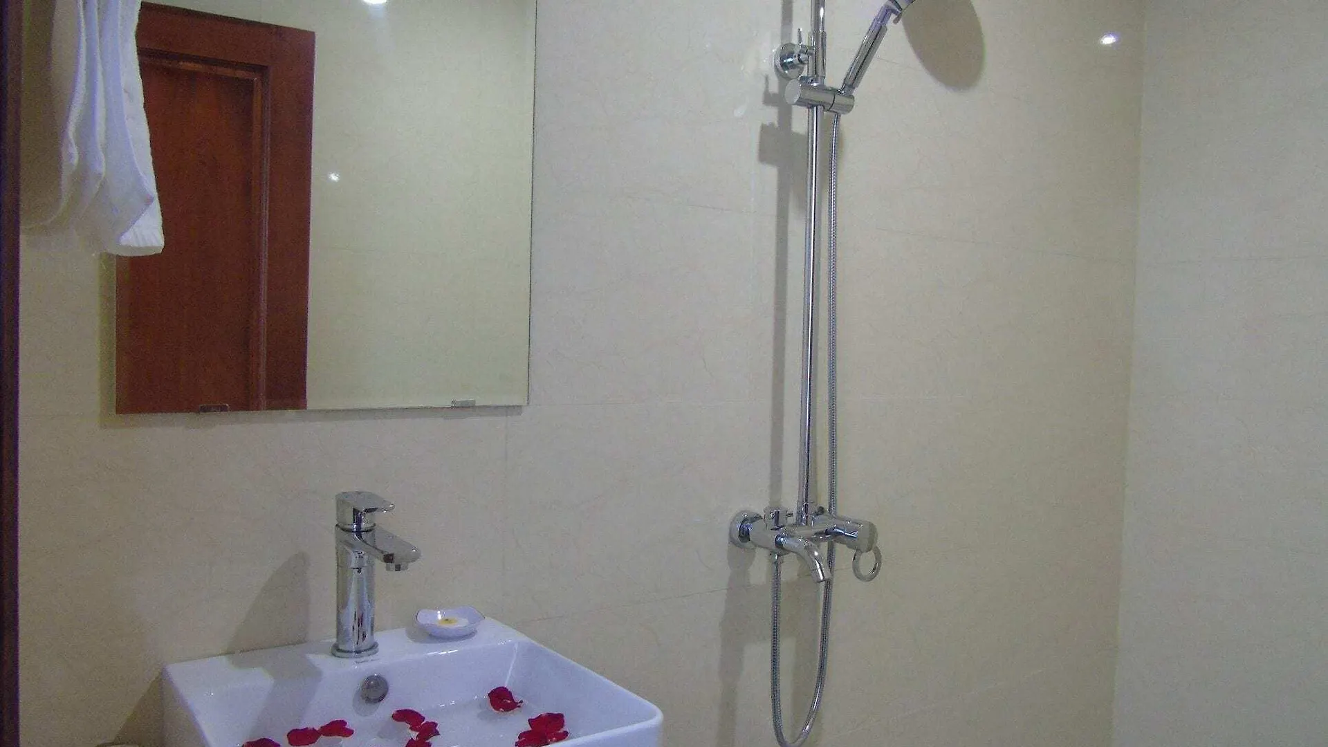 Ga Vang Hotel Da Nang 3*,