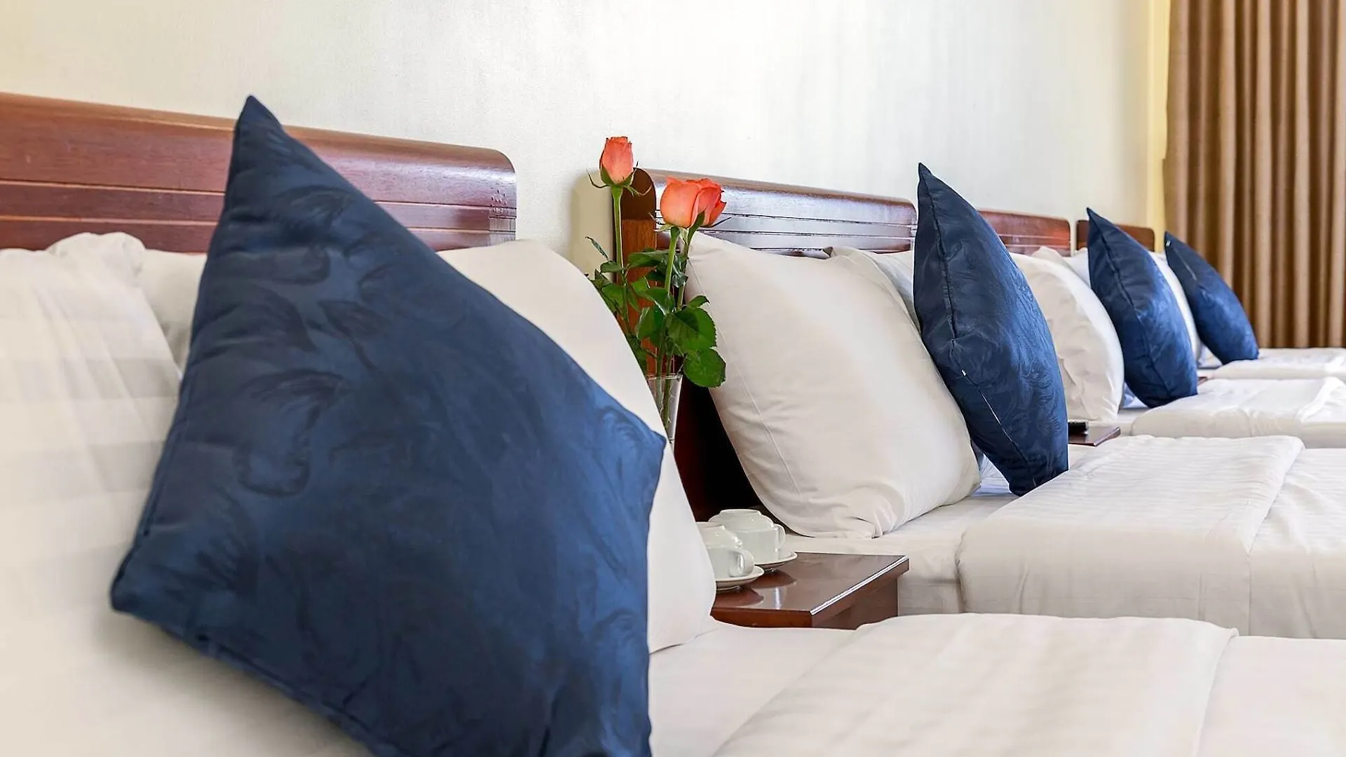 Ga Vang Hotel Da Nang