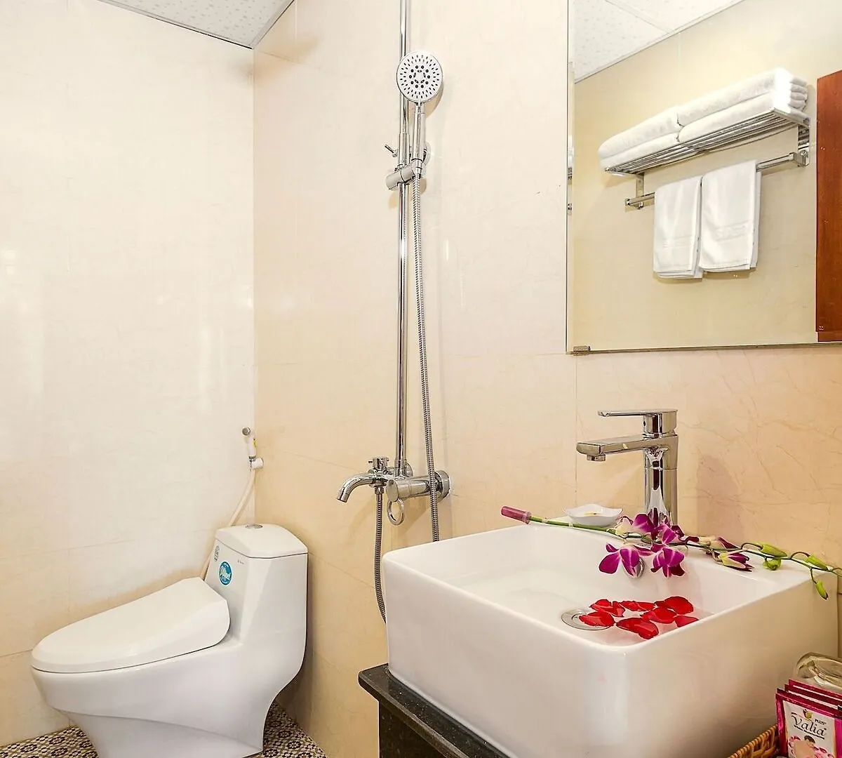 Ga Vang Hotel Da Nang